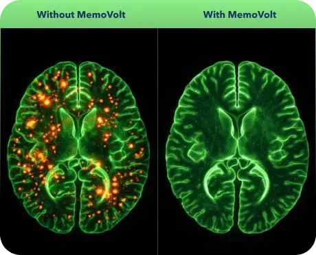 Brain fog compared with restored mental clarity after 60 days of MemoVolt